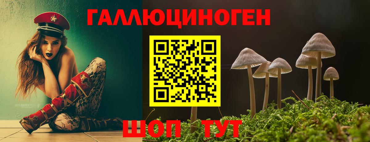 Галлюциногенные грибы ЛСД Геленджик