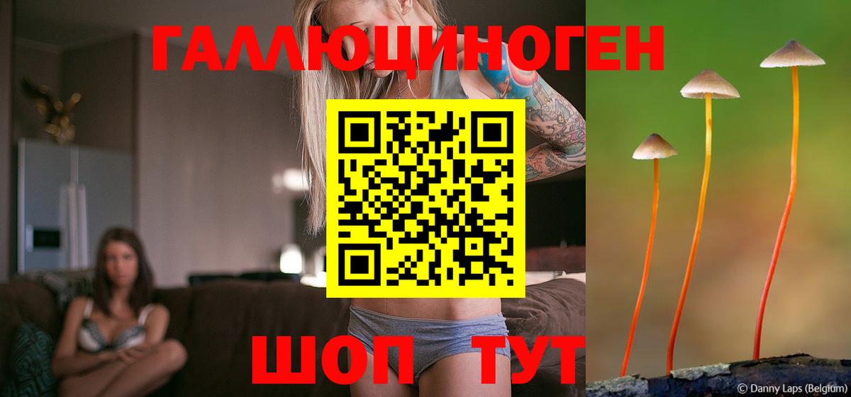 Псилоцибиновые грибы Psilocybine cubensis  Вход с VPN  Геленджик 